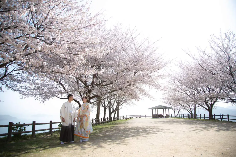 流れる雲のように。山採りアセビ。 シオカゼスローカーブ #002